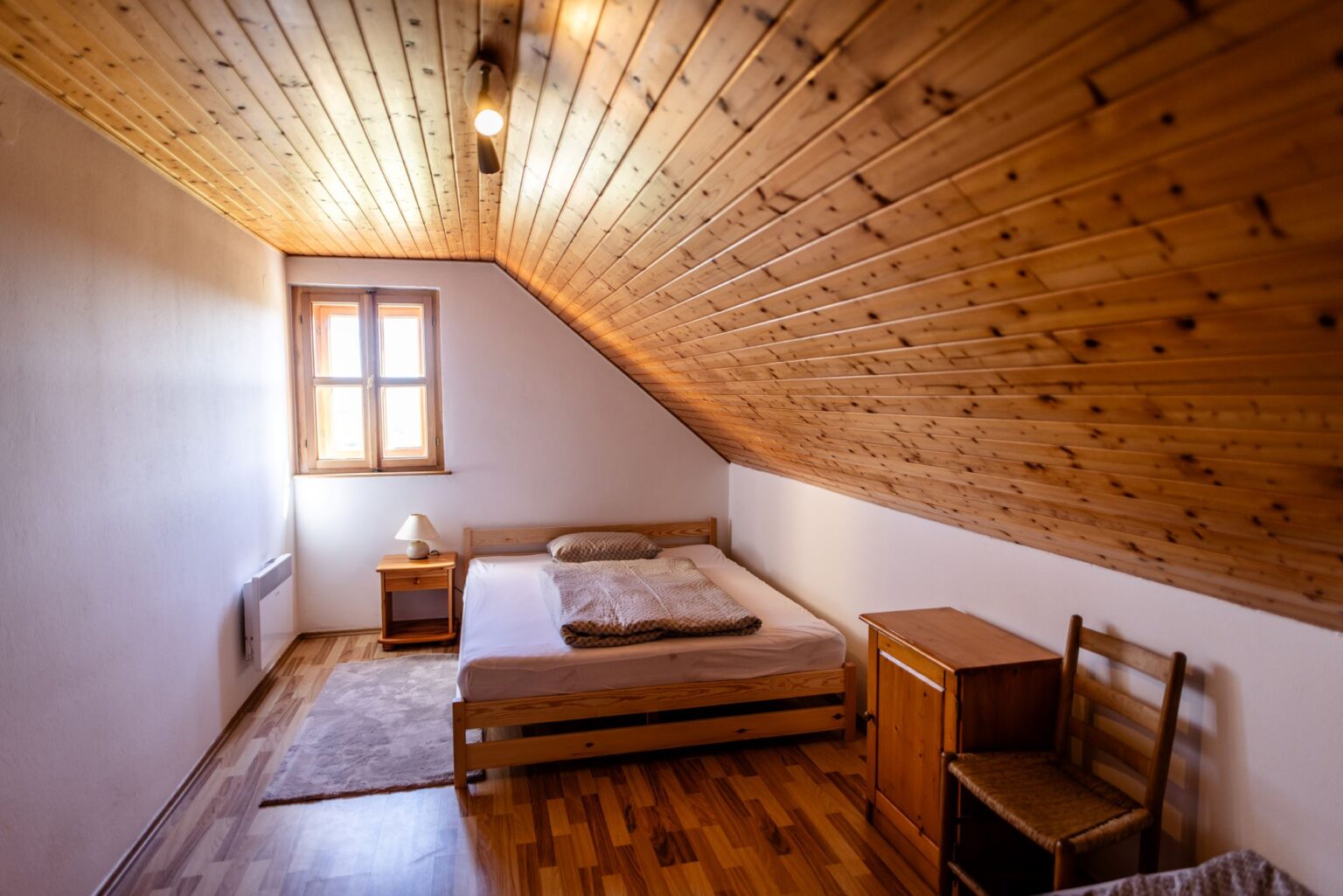 WERNER254C1A6119kicsi