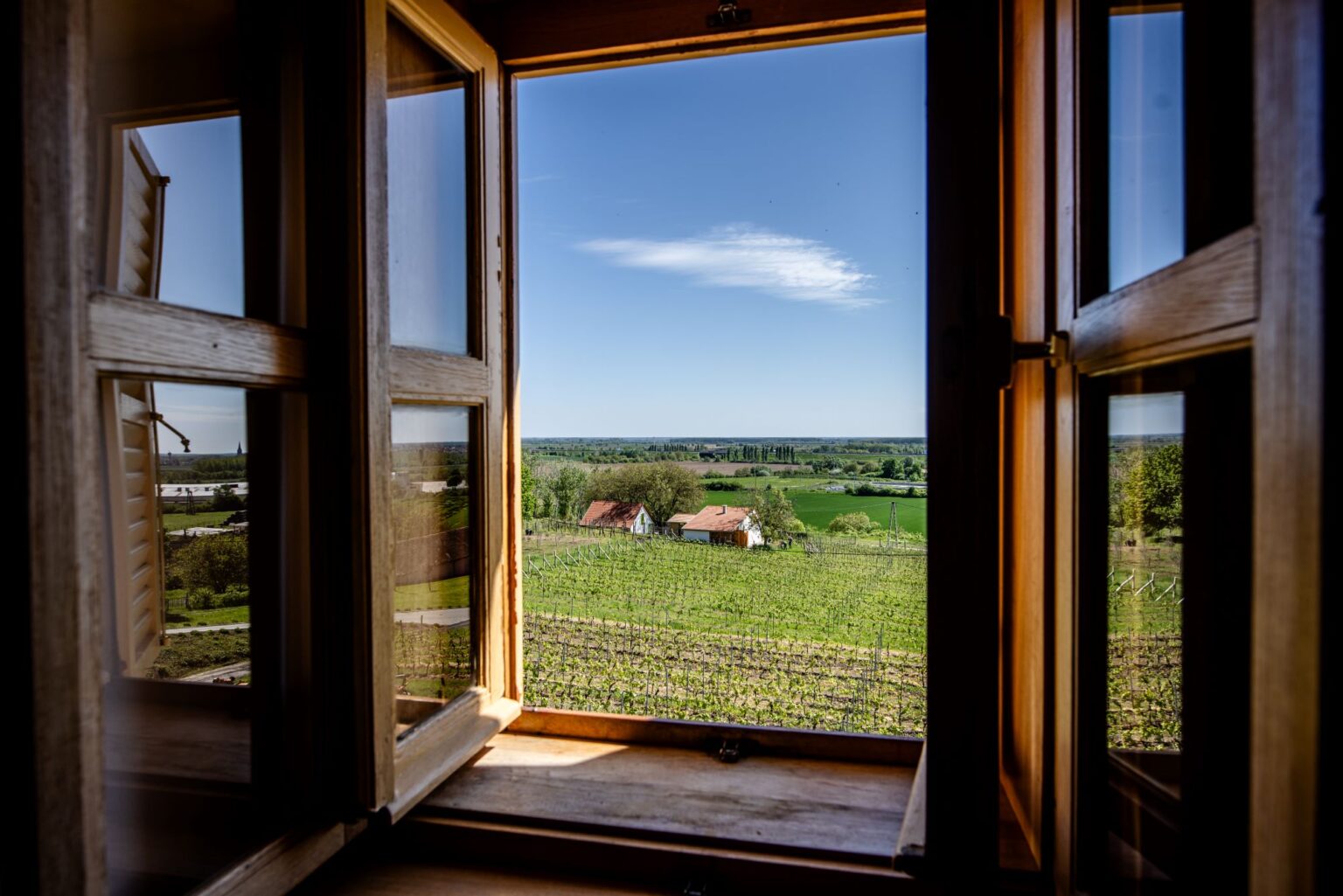 WERNER254C1A6192 (1)kicsi